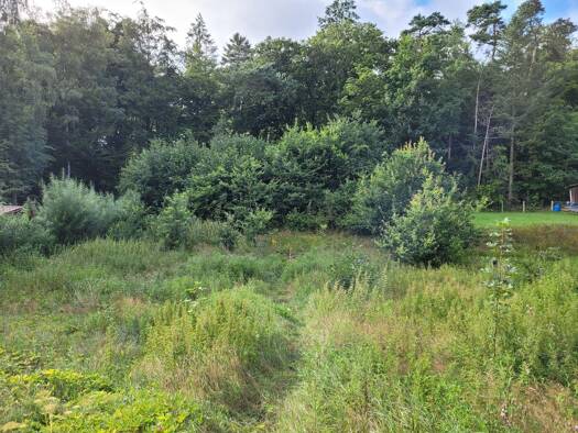 Grundstück zur Miete provisionsfrei 150 € 1.600 m² Grundstück frei ab sofort Hamfelde 22929