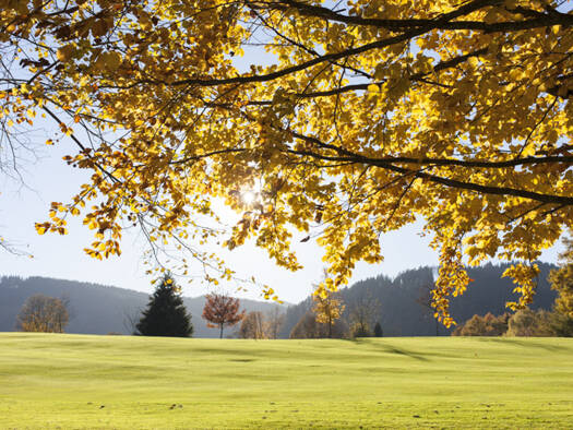 Grundstück zum Kauf 7.000.000 € 2.314 m² Grundstück Hagrain Rottach-Egern 83700