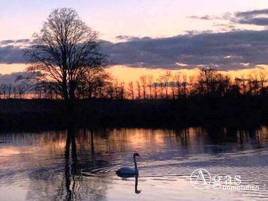 Haus zum Kauf 140.000 € 1 Zimmer 26 m² 0,1 m² Grundstück Liebenwalde 16559