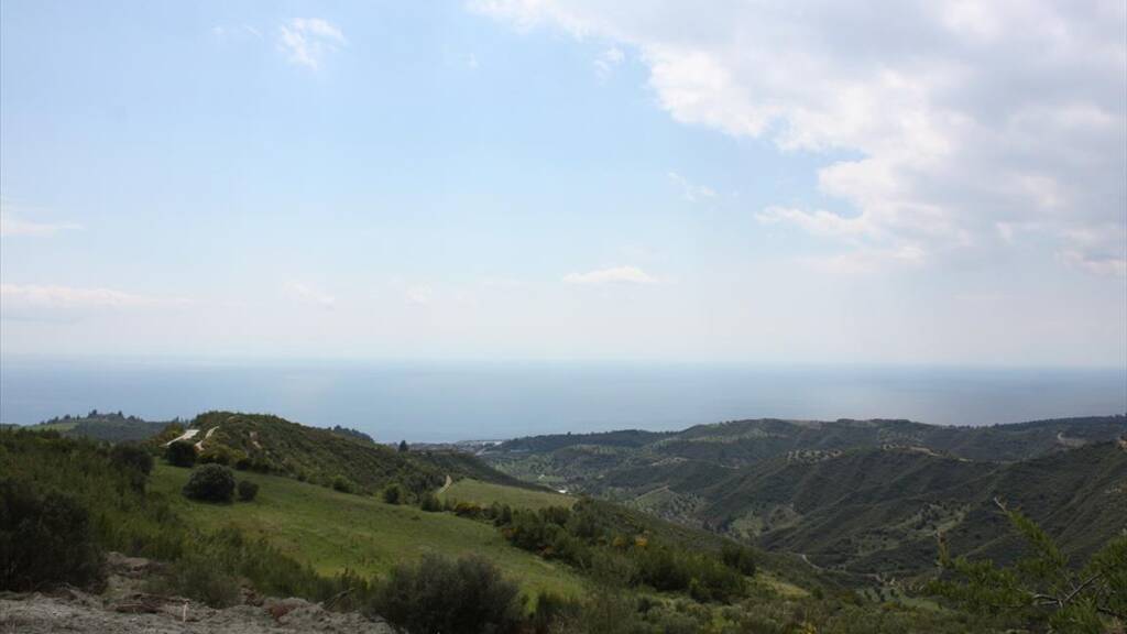Land-/Forstwirtschaft zum Kauf 110.000 € 4.000 m² Grundstück Chalkidiki