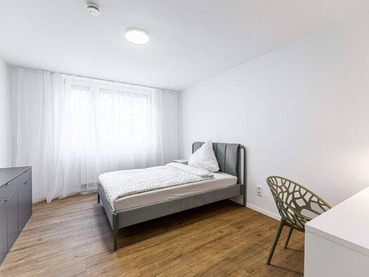 Studio zur Miete Wohnen auf Zeit 540 € 1 Zimmer 15 m² Neuselsbrunn 29 Neuselsbrunn Nürnberg 90471