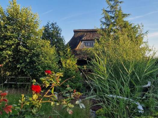 Villa zum Kauf 239.900 € 3 Zimmer 78 m² 1.100 m² Grundstück Tielenhemme 25794