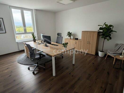 Büro zur Miete 400 € 24 m² Bürofläche Tattendorf 2523
