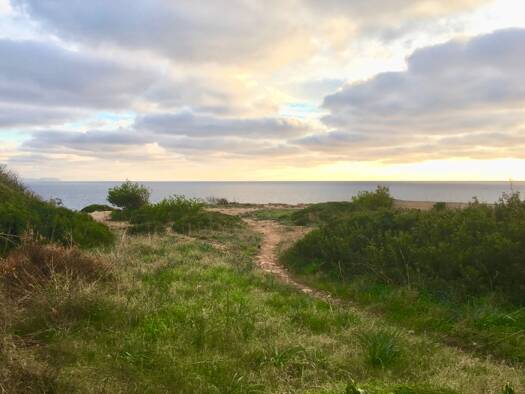 Grundstück zum Kauf provisionsfrei 1.250.000 € 1.490 m² Grundstück Vallgornera 07639