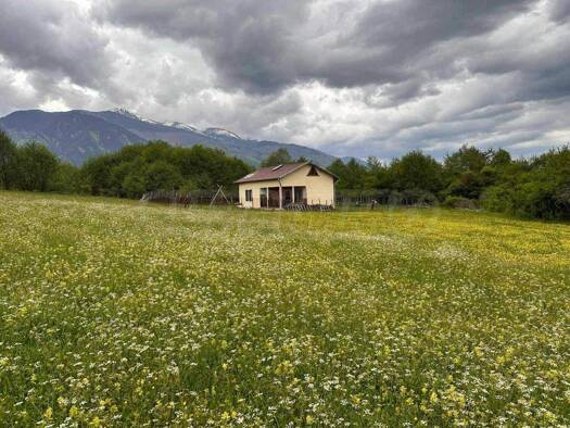 Landwirtschaftliche Fläche zum Kauf 85.000 € Razlog