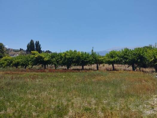 Grundstück zum Kauf 630.000 € 3.000 m² Grundstück Kreta Municipality of Apokoronas 730 03