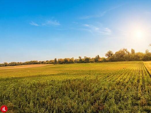 Landwirtschaftliche Fläche zum Kauf 34.734 m² Grundstück Himberg 2325
