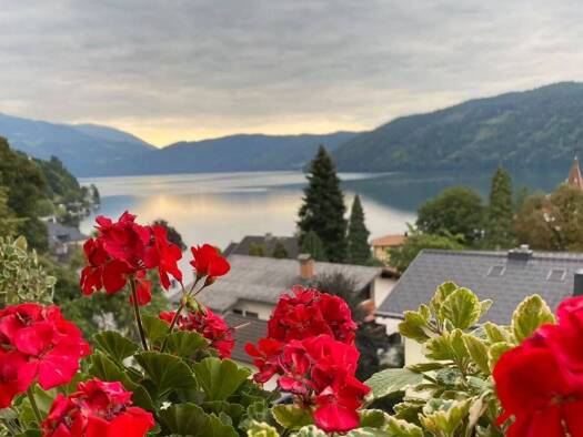 Hotel zum Kauf 2.990.000 € 41 Zimmer 3.250 m² Grundstück Millstatt am See 9872