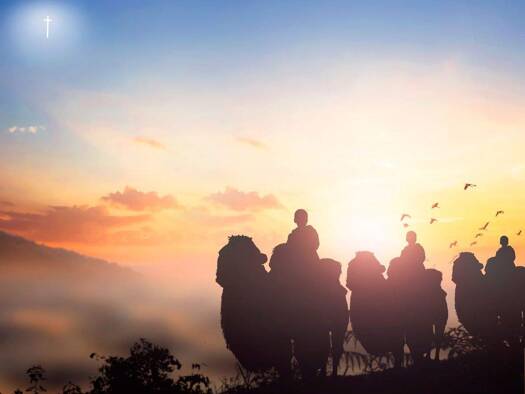 Penthouse zum Kauf 329.000 € 2 Zimmer 81 m² Radeberger Vorstadt Dresden / Neustadt 01099