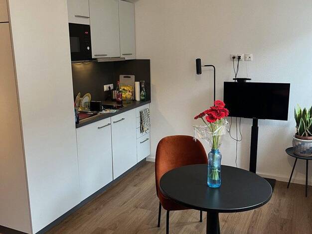 Wohnung zur Miete auf Zeit 590 € 1 Zimmer 32 m² frei ab sofort Rosenau Altstadt und engere Innenstadt 90429