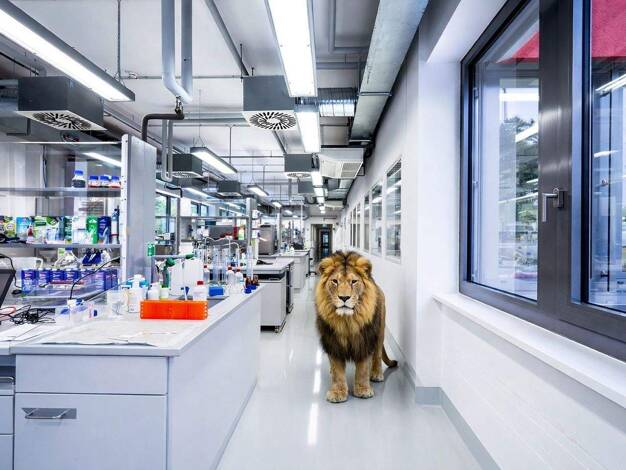 Bürofläche zur Miete 6.058 € 19 Zimmer 646 m² Bürofläche Pfungstadt 64319