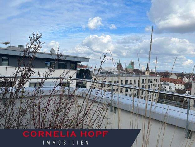 Penthouse zur Miete 3.190 € 7 Zimmer 232,3 m² frei ab 01.10.2026 Warsbergstraße Brühlervorstadt Erfurt 99092
