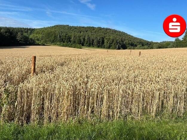Grundstück zum Kauf 98.000 € 494,4 m² Grundstück Neukirchen Neukirchen 92259