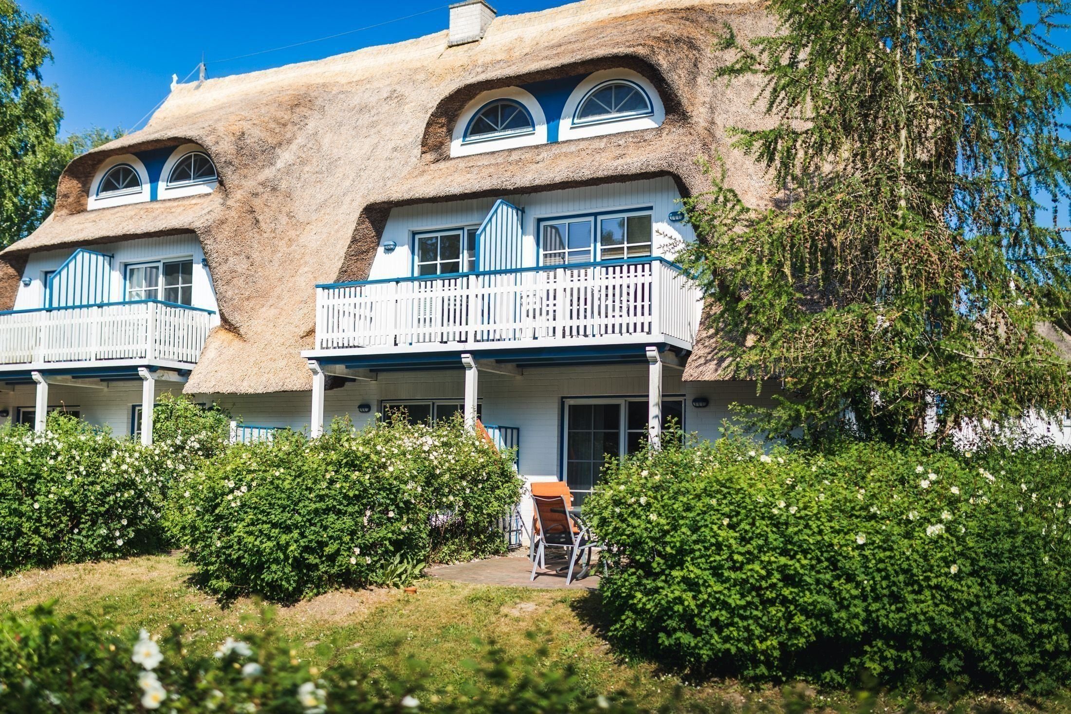 Terrassenwohnung zum Kauf 249.000 € 2 Zimmer 41 m²<br/>Wohnfläche ab sofort<br/>Verfügbarkeit Zingst Zingst 18374