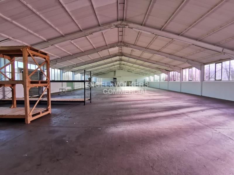 Produktionshalle zum Kauf 1.848 m²<br/>Lagerfläche ab 1.848 m²<br/>Teilbarkeit Boitzum Springe 31832