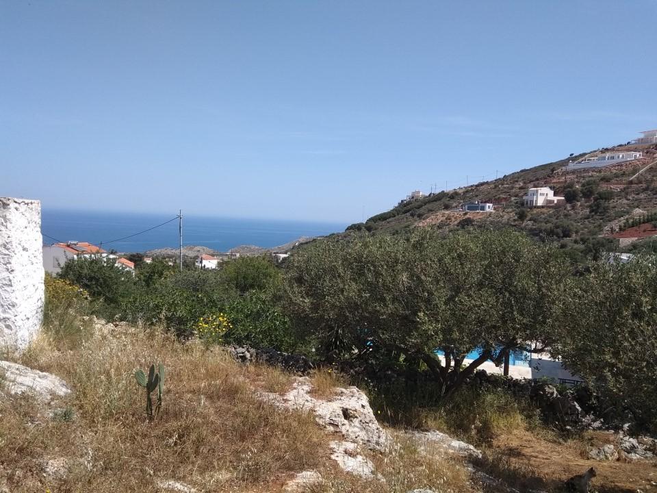 Grundstück zum Kauf 130.000 € 800 m²<br/>Grundstück Kreta Kokkino Chorio 730 08