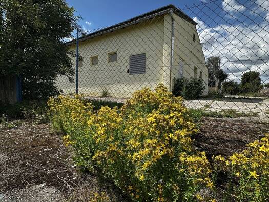 Freifläche zum Kauf 169.000 € 878 m² Lagerfläche Waldheim Waldheim 04736