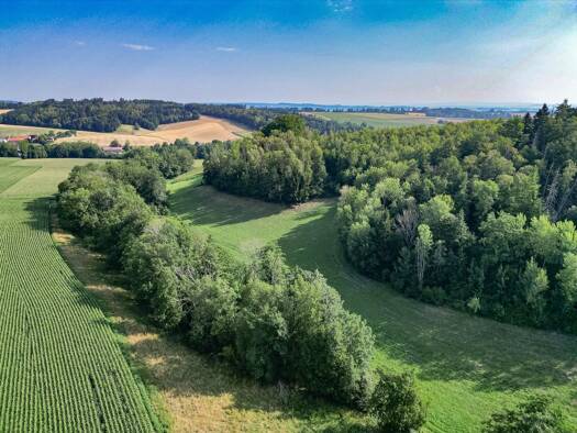 Land-/Forstwirtschaft zum Kauf 164.900 € 21.990 m² Grundstück Brunndobl Kößlarn 94149