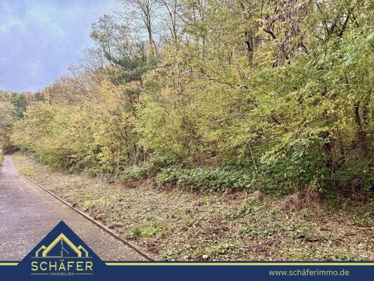 Land-/Forstwirtschaft zum Kauf 5.000 € 2.695 m² Grundstück Dillingen 66763