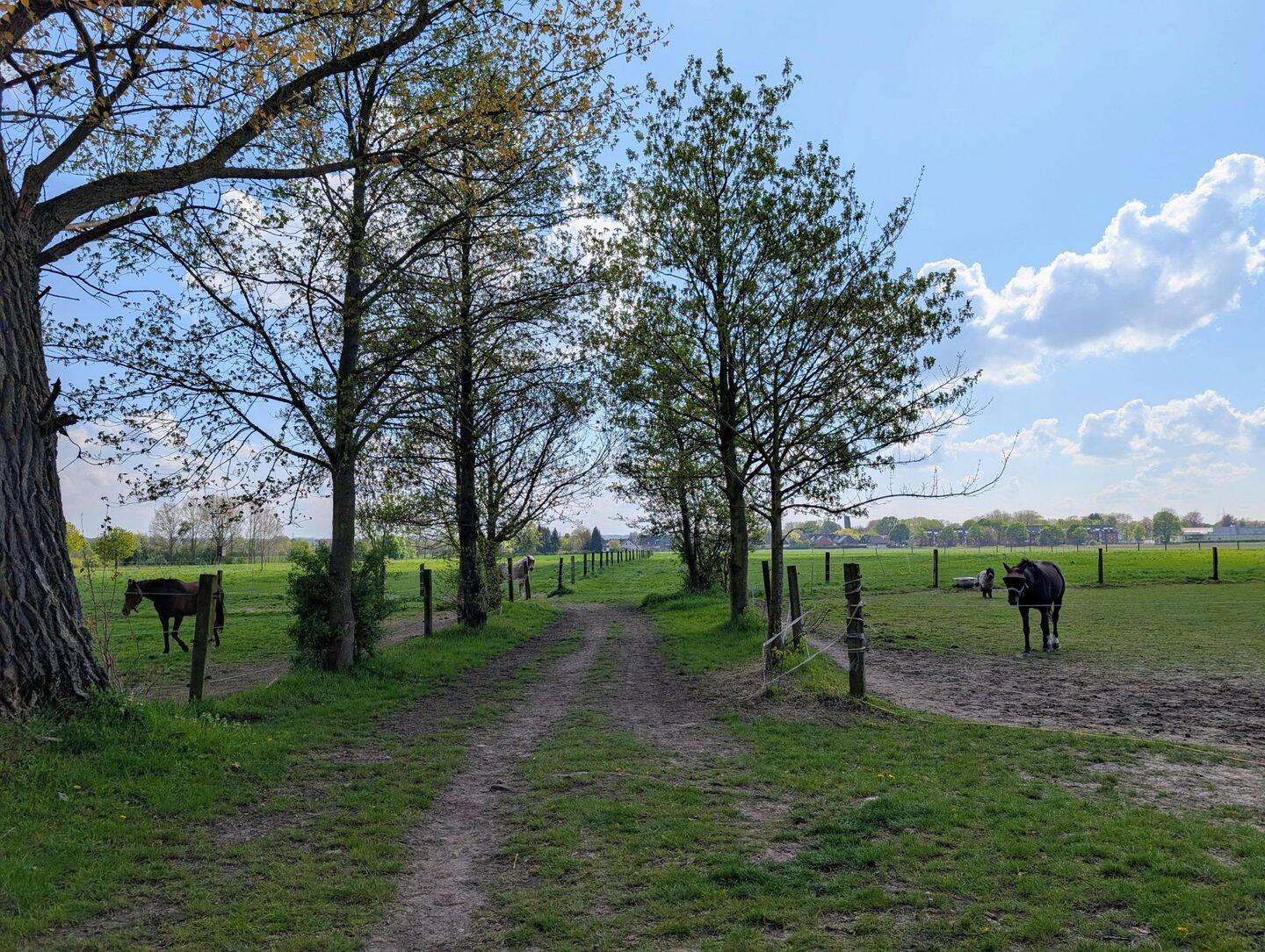 Land-/Forstwirtschaft zum Kauf - Mehr