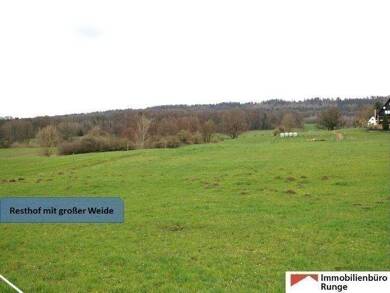 Bauernhaus zum Kauf 365.000 € 350 m² 40.000 m² Grundstück Antendorf Auetal 31749