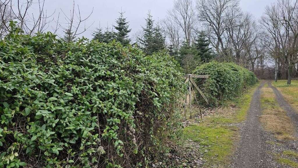 Freizeitgrundstück zum Kauf 295.000 € 6.544 m² Grundstück Dunakiliti