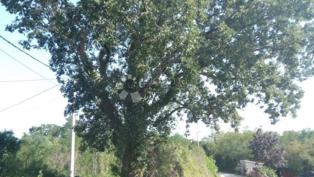 Land-/Forstwirtschaft zum Kauf 257.000 € Sveta Nedelja