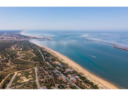 Acker-/Waldstück zum Kauf 118.000 € Palos de la Frontera 21810