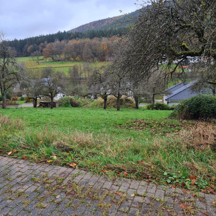 Grundstück zum Kauf 149.000 € 1.191 m²<br/>Grundstück Weckbach Weilbach 63937