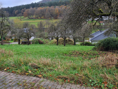Grundstück zum Kauf 129.000 € 1.191 m² Grundstück Weckbach Weilbach 63937