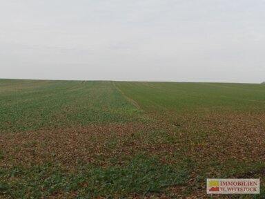 Land-/Forstwirtschaft zum Kauf 120.000 € 62.080 m² Grundstück Stepenitz Stepenitz 16945