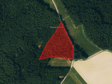 Landwirtschaftliche Fläche zum Kauf 133.931 € 14.098 m² 14.098 m² Grundstück Haunstetten Reichertshausen 85293