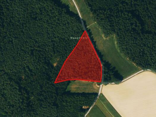 Landwirtschaftliche Fläche zum Kauf 133.931 € 14.098 m² 14.098 m² Grundstück Haunstetten Reichertshausen 85293