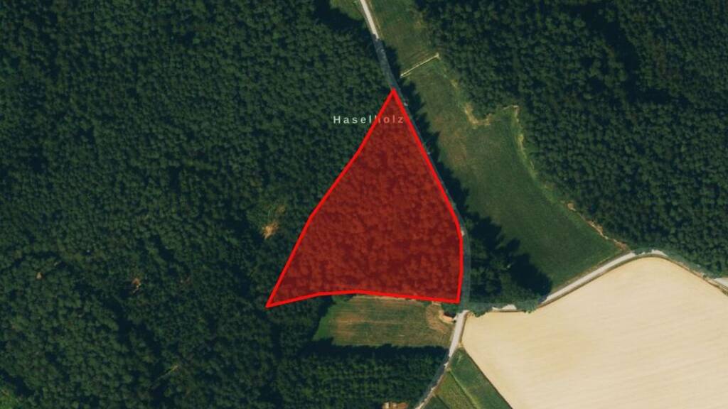 Landwirtschaftliche Fläche zum Kauf 133.931 € 14.098 m² 14.098 m² Grundstück Haunstetten Reichertshausen 85293