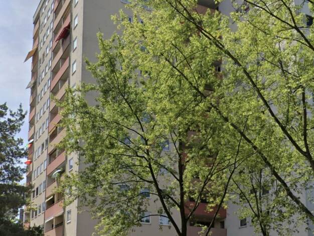 Wohnung zum Kauf 239.000 € 3,5 Zimmer 80 m² 1. Geschoss Mainaschaff 63814