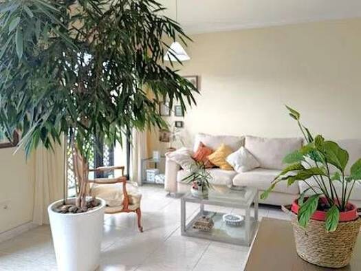 Wohnung zum Kauf 325.000 € 3 Zimmer 90 m² 5. Geschoss Avenida Pintor Felo Monzón, 1 Las Palmas de Gran Canaria 35019