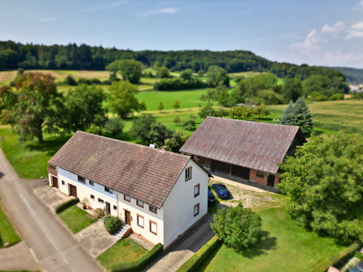 Bauernhaus zum Kauf 8 Zimmer 134 m² 5.170 m² Grundstück Bietingen Gottmadingen 78244