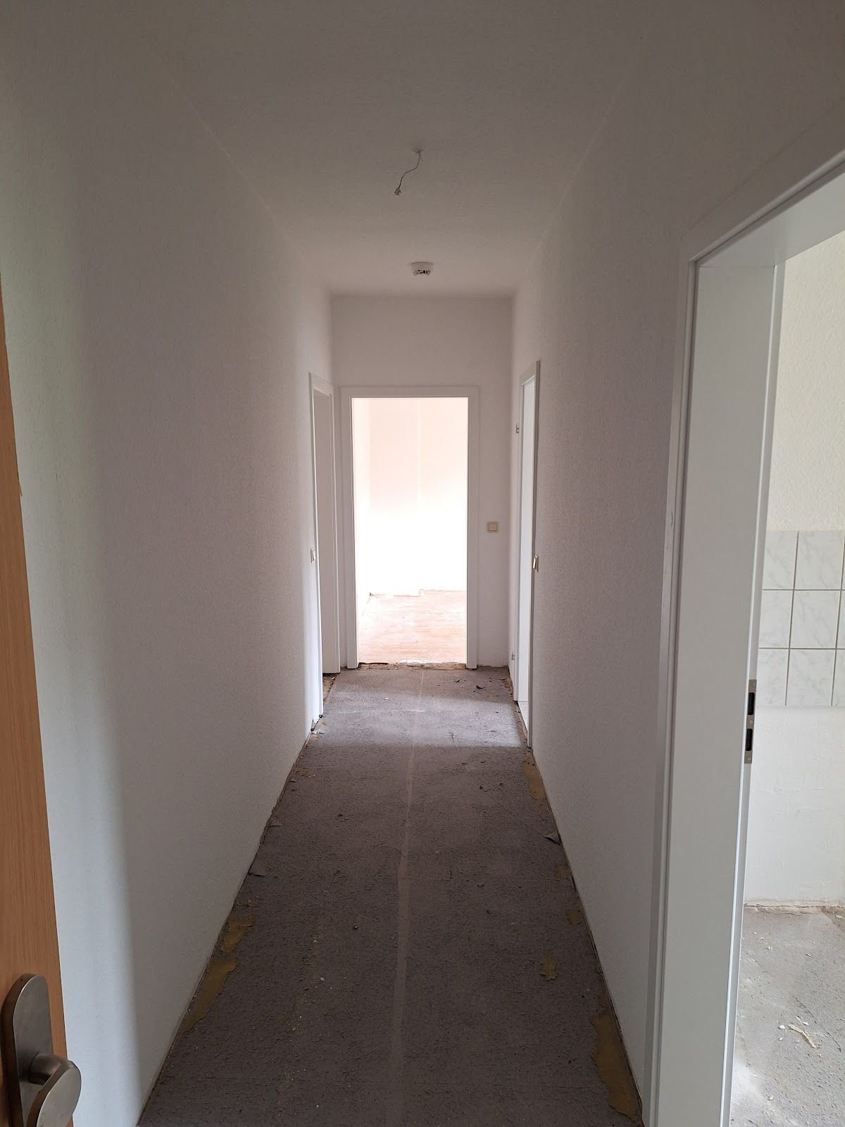 Wohnung zur Miete 337 € 2 Zimmer 56,2 m²<br/>Wohnfläche EG<br/>Geschoss 01.11.2024<br/>Verfügbarkeit Schleizer Straße 70 Zeulenroda Zeulenroda-Triebes 07937