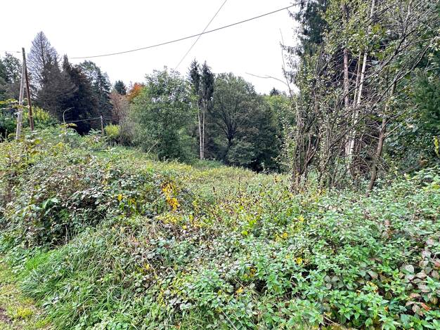 Grundstück zum Kauf 125.000 € 2.586 m² Grundstück Ottweiler Ottweiler 66564