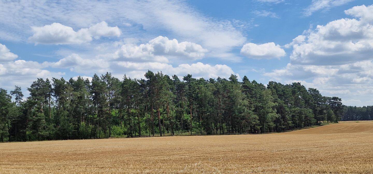 Land-/Forstwirtschaft zum Kauf - Ansicht 4