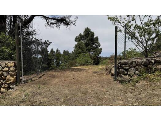 Acker-/Waldstück zum Kauf 69.000 € La Peña 1 Icod de los Vinos 38438