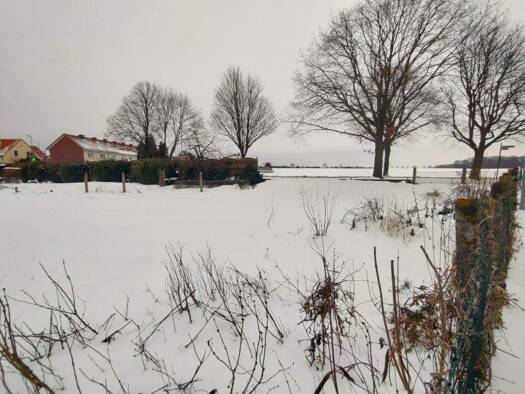 Grundstück zum Kauf 265.000 € 1.450 m² Grundstück frei ab sofort Bilm Sehnde 31319