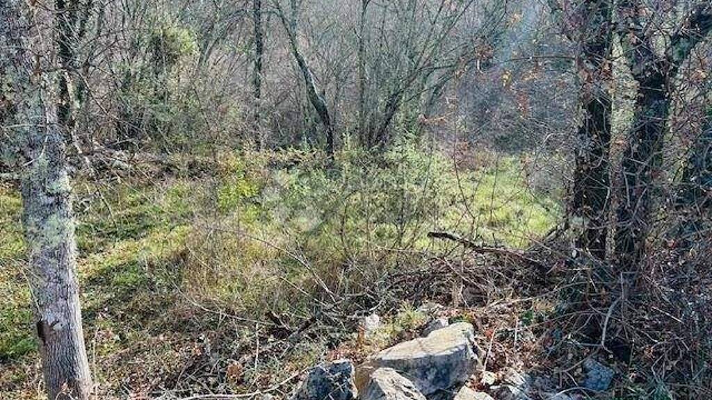 Land-/Forstwirtschaft zum Kauf 365.000 € Malinska-Dubasnica