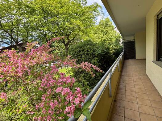 Wohnung zum Kauf 239.000 € 2,5 Zimmer 85,5 m² Weinheim Weinheim 69469