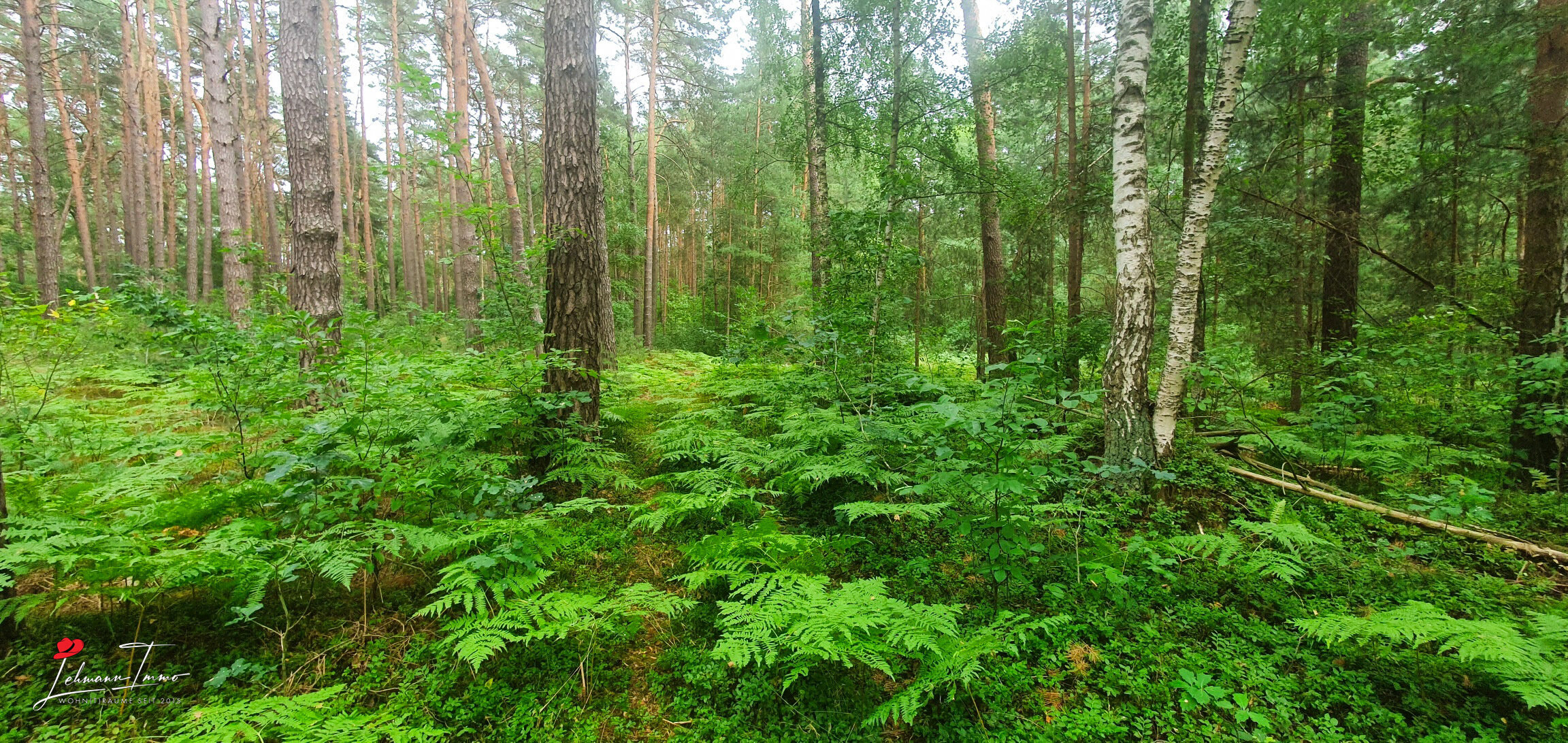 Land-/Forstwirtschaft zum Kauf 90.000 € 10.223 m²<br/>Grundstück Böhmerheide Schorfheide 16244