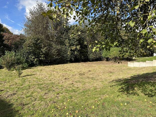 Grundstück zum Kauf 149.000 € 1.572 m² Grundstück Schwelentrup Dörentrup 32694