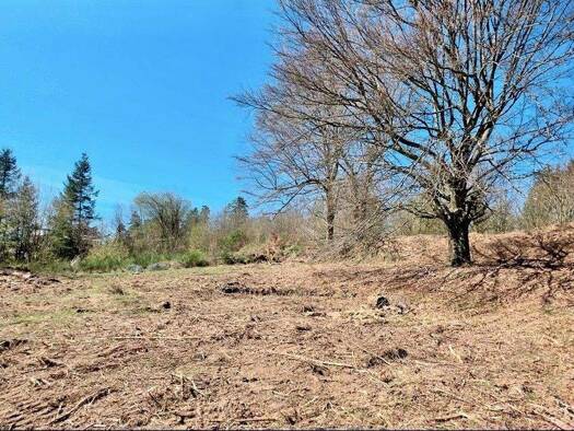 Grundstück zum Kauf provisionsfrei 220.000 € 1.458 m² Grundstück Trippstadt 67705