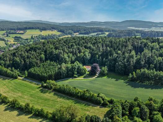 Einfamilienhaus zum Kauf 650.000 € 8 Zimmer 274,4 m² 69.299 m² Grundstück Staning Chamerau 93466