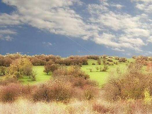 Grundstück zum Kauf 45.000 € 993 m² Grundstück Loutzviller 57720