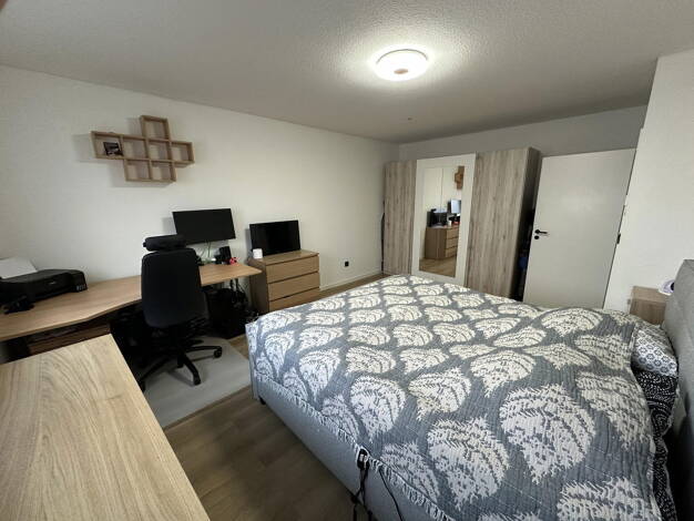 Wohnung zur Miete 920 € 2 Zimmer 79 m² EG Mühlhausen 69242
